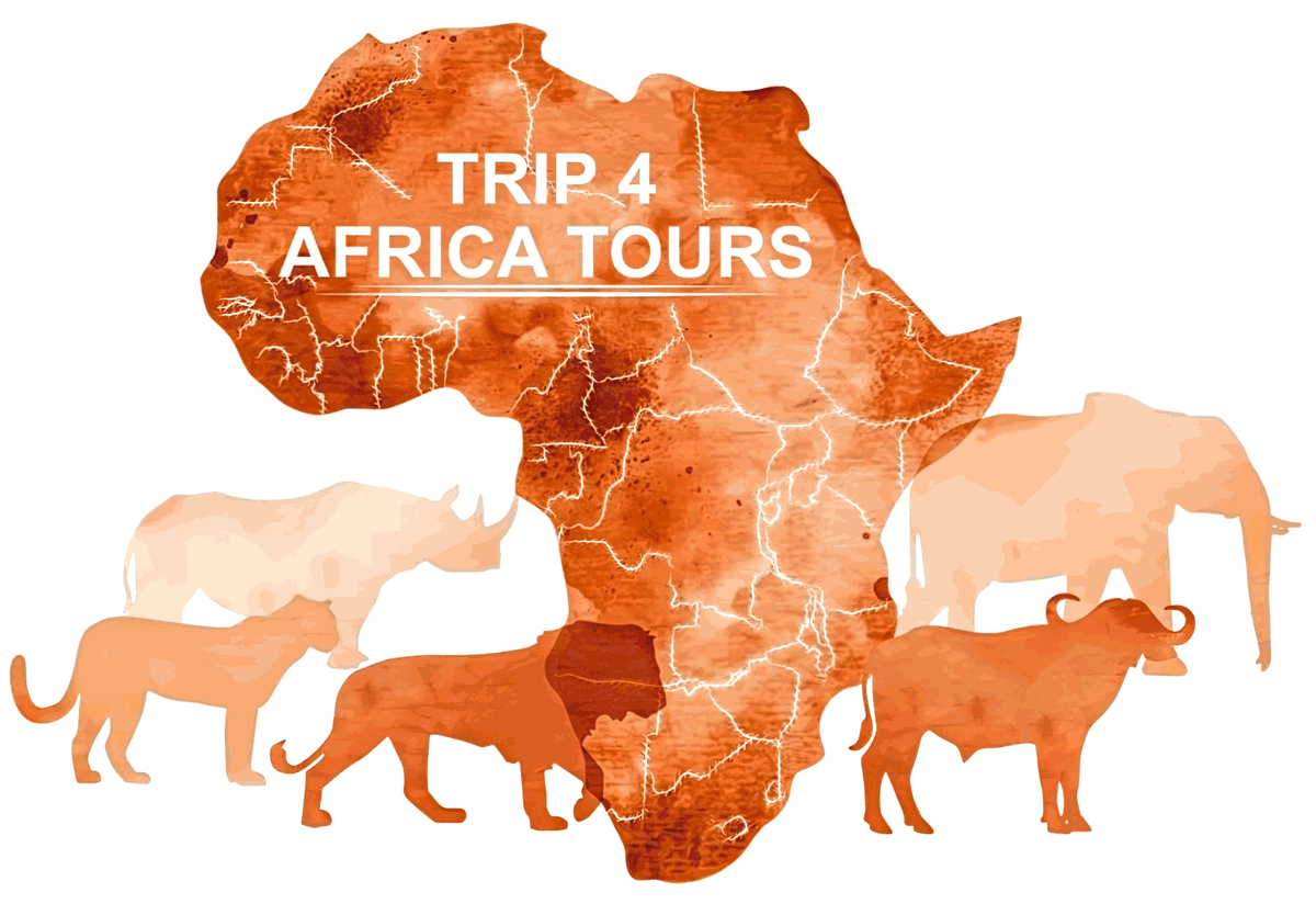 Trip 4 Africa Tours's website logo